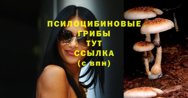 ПСИЛОЦИБИНОВЫЕ ГРИБЫ Алзамай