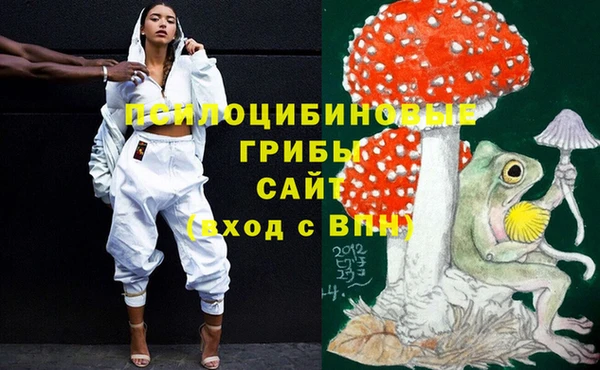 ПСИЛОЦИБИНОВЫЕ ГРИБЫ Алзамай