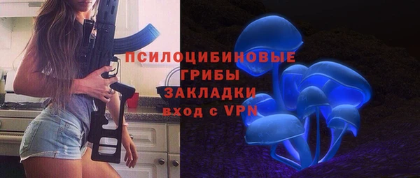 ПСИЛОЦИБИНОВЫЕ ГРИБЫ Алзамай