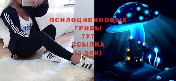 ПСИЛОЦИБИНОВЫЕ ГРИБЫ Алзамай