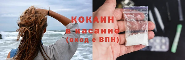 соль ск Алексин
