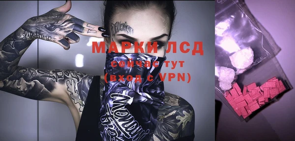 ПСИЛОЦИБИНОВЫЕ ГРИБЫ Алзамай