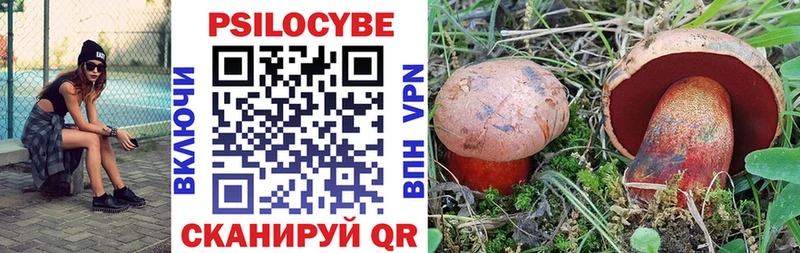 цена Абинск Псилоцибиновые грибы Magic Shrooms